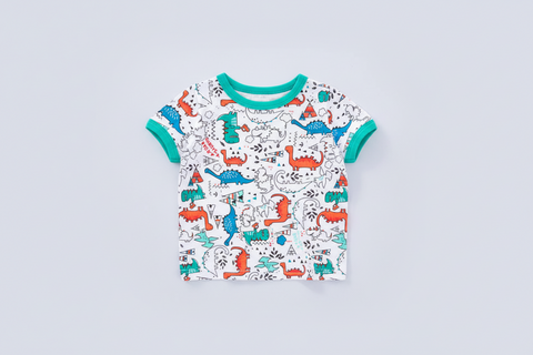 Dinosaur Print T-Shirt and Shorts Set