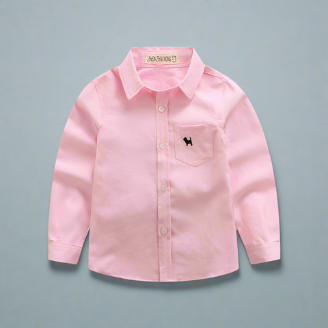 Elegant Embroided Cotton Shirt