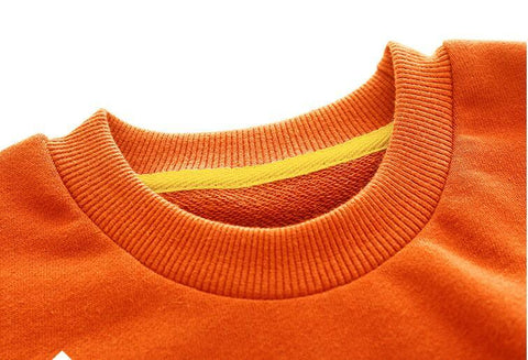 Wonderful Dino Motif Cotton Sweatshirt