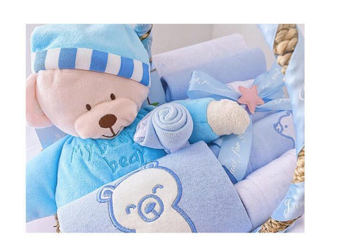 Plush Teddy Newborn Gift Basket