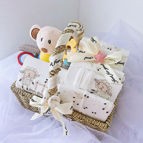 Plush Teddy Newborn Gift Basket