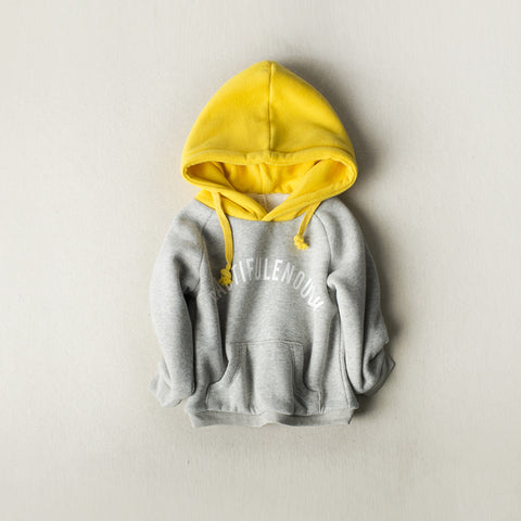 Cozy Fleece Lining Cotton Hoodie