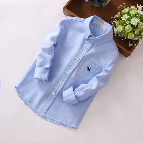 Elegant Embroided Cotton Shirt