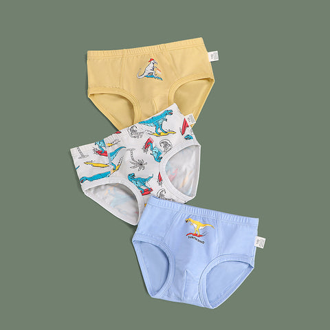 Cotton Briefs Fun Print Set