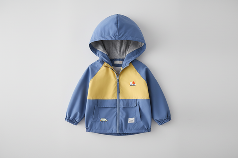 Colorful Hooded Windbreaker Jacket