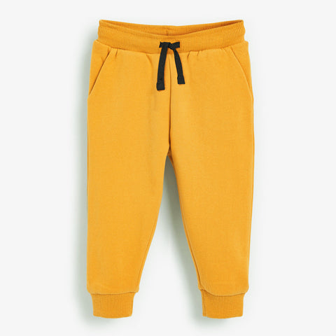 Shark Print Sweatshirt and Joggers Set