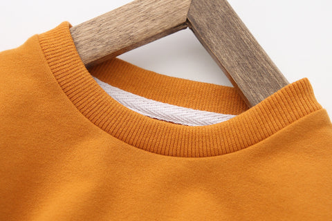 Cozy Fleece Lining Cotton Sweatshirt