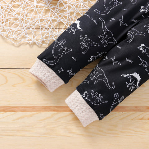 Pullover, Pants Dinosaur Illustrated Design Set