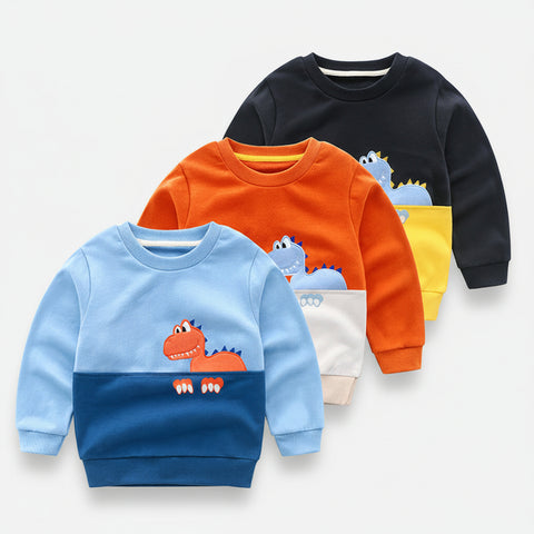 Wonderful Dino Motif Cotton Sweatshirt