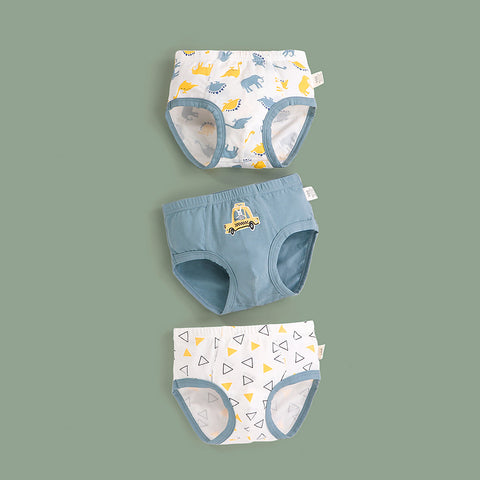 Cotton Briefs Fun Print Set