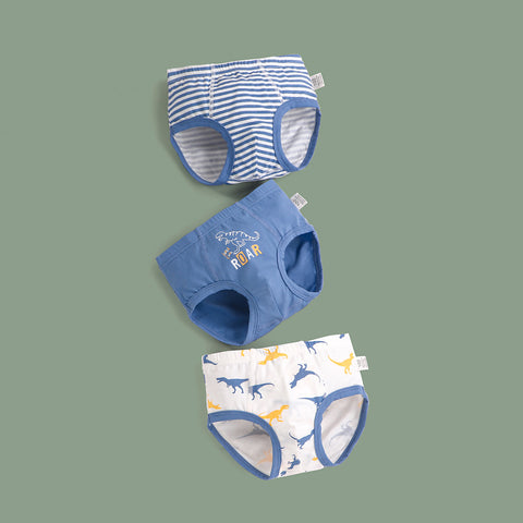 Cotton Briefs Fun Print Set